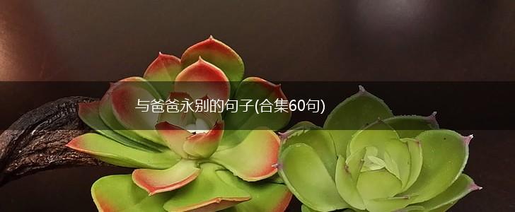 与爸爸永别的句子(合集60句),第1张