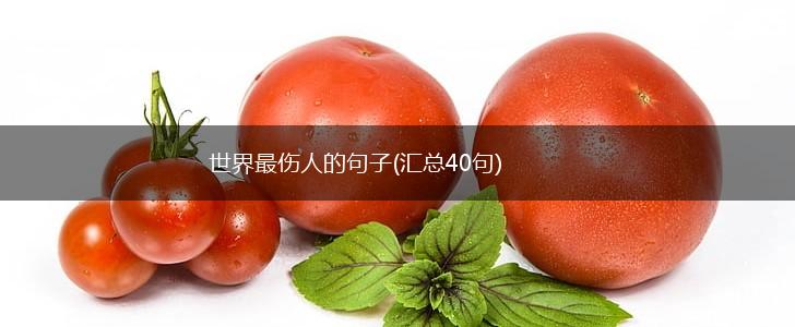 世界最伤人的句子(汇总40句),第1张