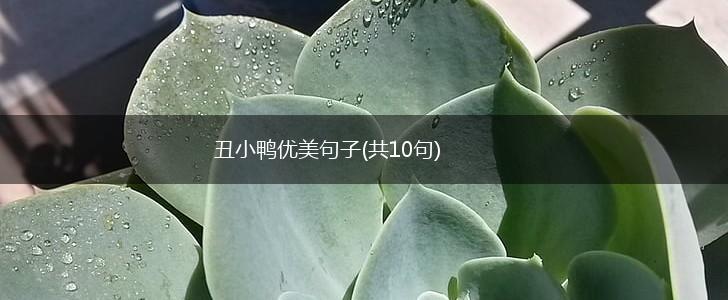 丑小鸭优美句子(共10句),第1张