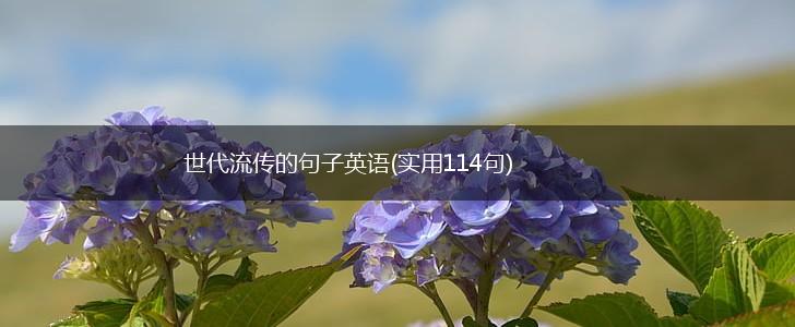 世代流传的句子英语(实用114句),第1张