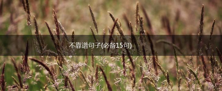 不靠谱句子(必备15句),第1张