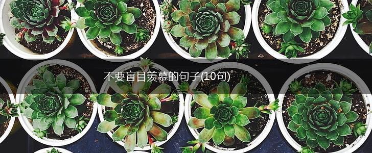 不要盲目羡慕的句子(10句),第1张