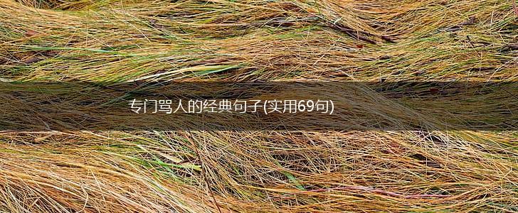 专门骂人的经典句子(实用69句),第1张