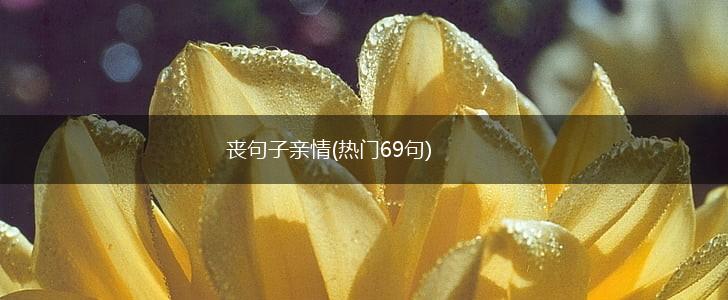 丧句子亲情(热门69句),第1张
