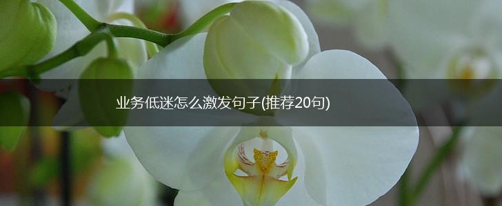 业务低迷怎么激发句子(推荐20句),第1张
