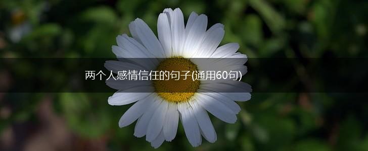 两个人感情信任的句子(通用60句),第1张