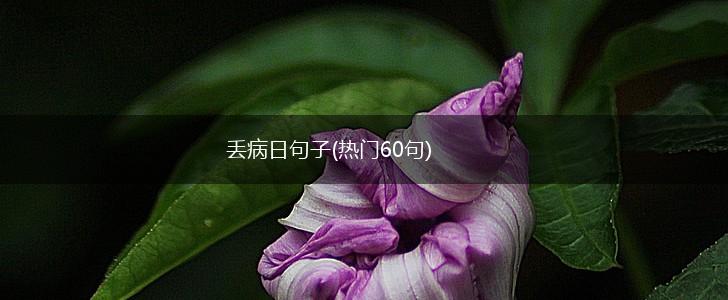 丢病日句子(热门60句),第1张