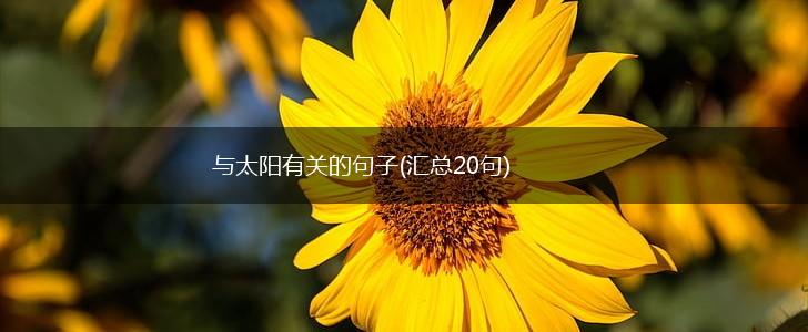 与太阳有关的句子(汇总20句),第1张