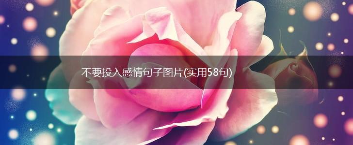 不要投入感情句子图片(实用58句),第1张