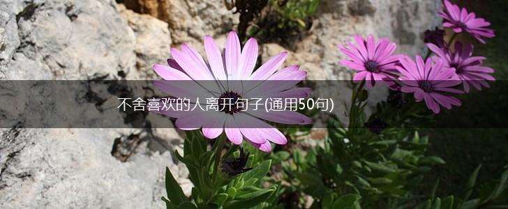 不舍喜欢的人离开句子(通用50句),第1张