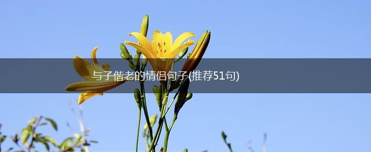 与子偕老的情侣句子(推荐51句),第1张
