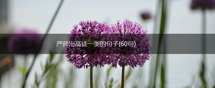严师出高徒一类的句子(60句),第1张