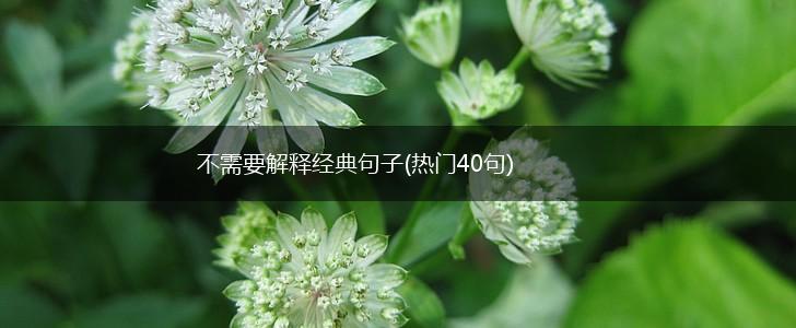 不需要解释经典句子(热门40句),第1张