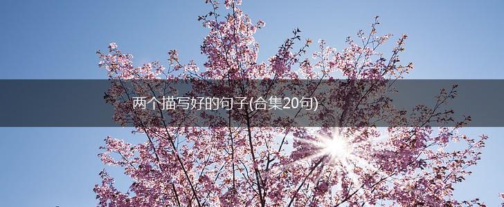 两个描写好的句子(合集20句),第1张