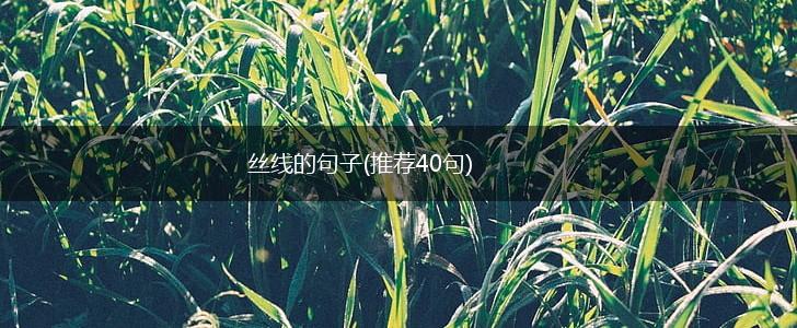 丝线的句子(推荐40句),第1张