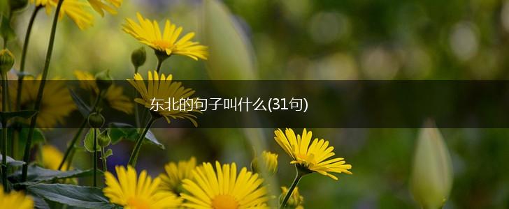 东北的句子叫什么(31句),第1张