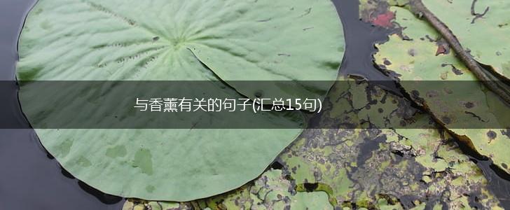 与香薰有关的句子(汇总15句),第1张
