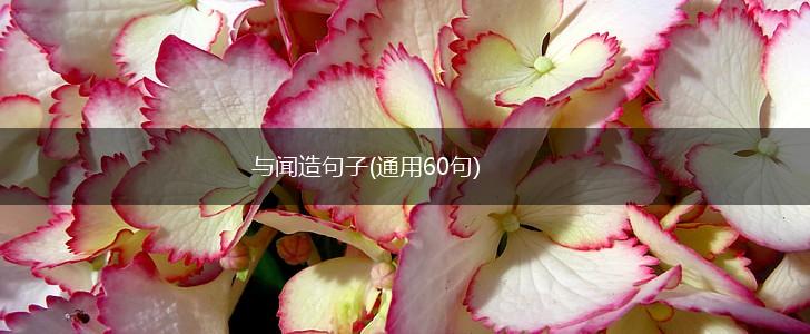 与闻造句子(通用60句),第1张