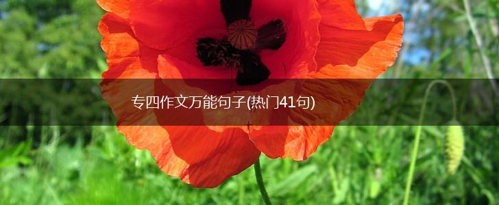 专四作文万能句子(热门41句),第1张
