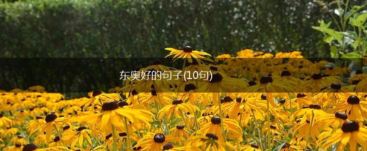 东奥好的句子(10句),第1张