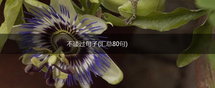 不诿过句子(汇总80句),第1张