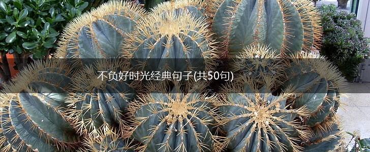 不负好时光经典句子(共50句),第1张
