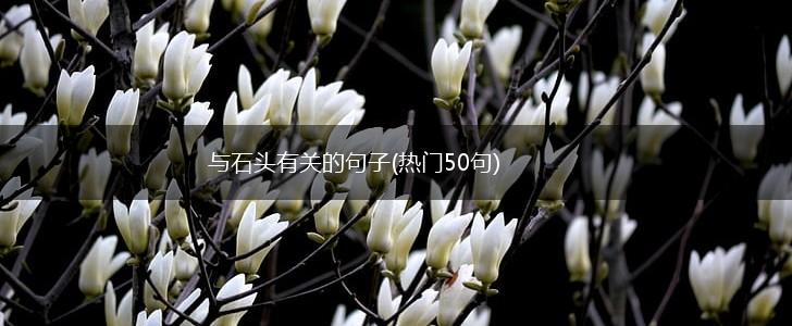 与石头有关的句子(热门50句),第1张
