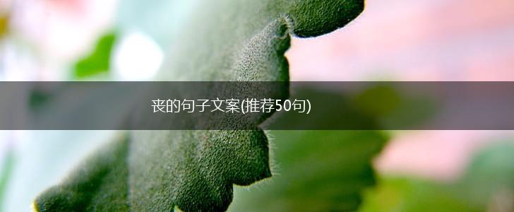 丧的句子文案(推荐50句),第1张