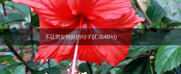 不让男女独处的句子(汇总40句),第1张