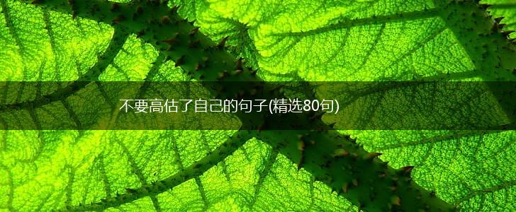 不要高估了自己的句子(精选80句),第1张