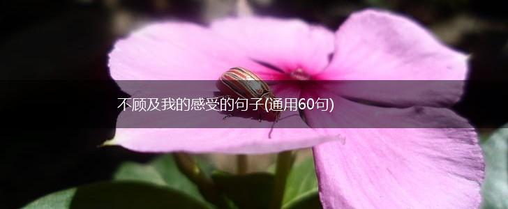 不顾及我的感受的句子(通用60句),第1张
