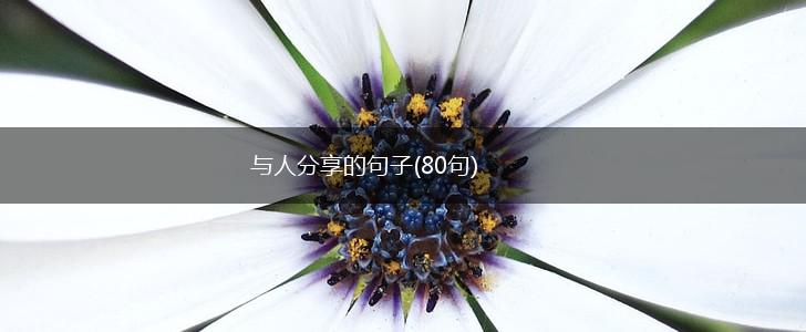 与人分享的句子(80句),第1张