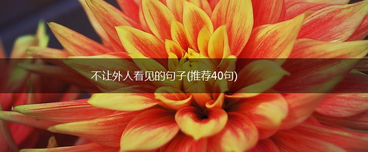 不让外人看见的句子(推荐40句),第1张
