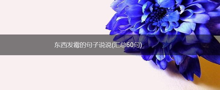 东西发霉的句子说说(汇总60句),第1张
