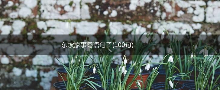 东坡家事粤语句子(100句),第1张