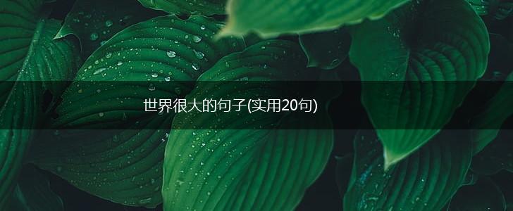世界很大的句子(实用20句),第1张