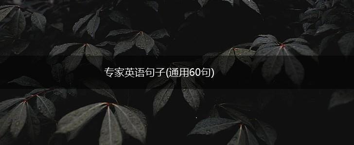 专家英语句子(通用60句),第1张