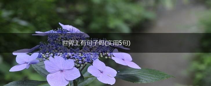 世界上有句子吗(实用5句),第1张