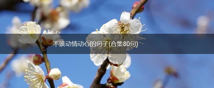 不该动情动心的句子(合集80句),第1张