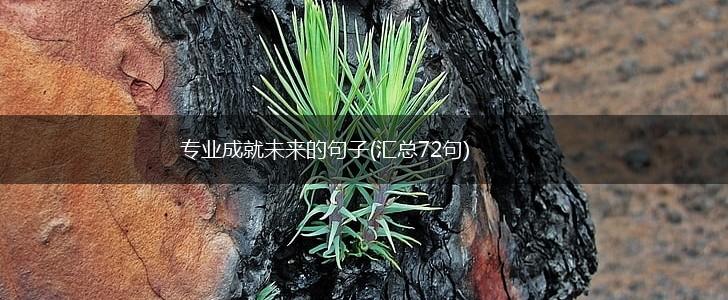 专业成就未来的句子(汇总72句),第1张