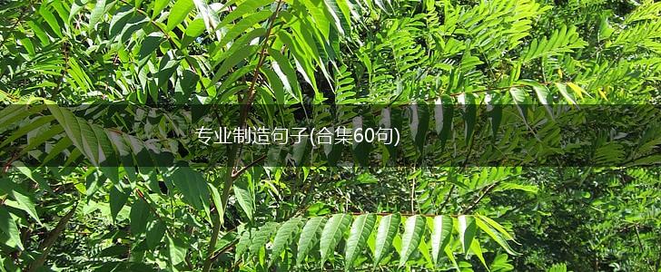 专业制造句子(合集60句),第1张