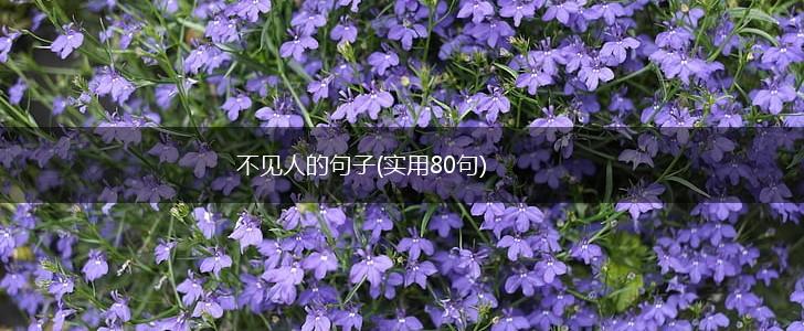不见人的句子(实用80句),第1张
