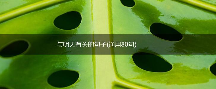 与明天有关的句子(通用80句),第1张