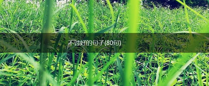 不讨好的句子(80句),第1张