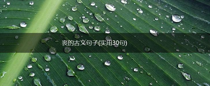 丧的古文句子(实用30句),第1张