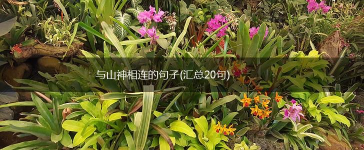 与山神相连的句子(汇总20句),第1张