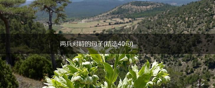 两兵对峙的句子(精选40句),第1张