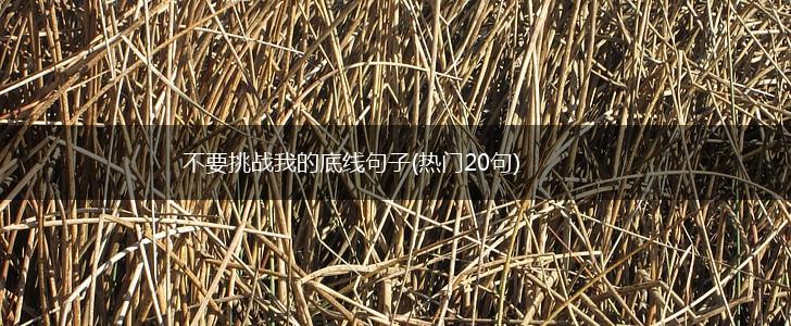 不要挑战我的底线句子(热门20句),第1张