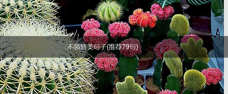 不领情美句子(推荐79句),第1张