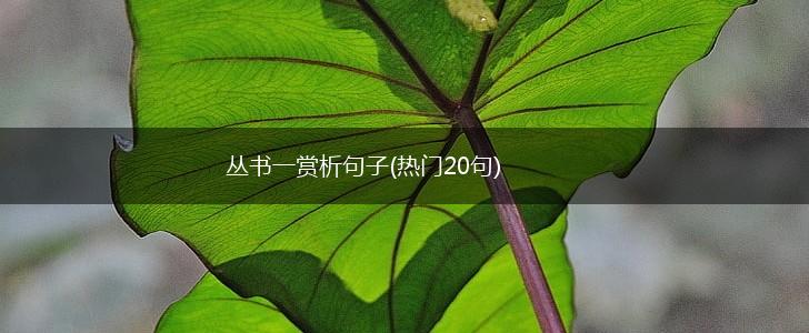 丛书一赏析句子(热门20句),第1张